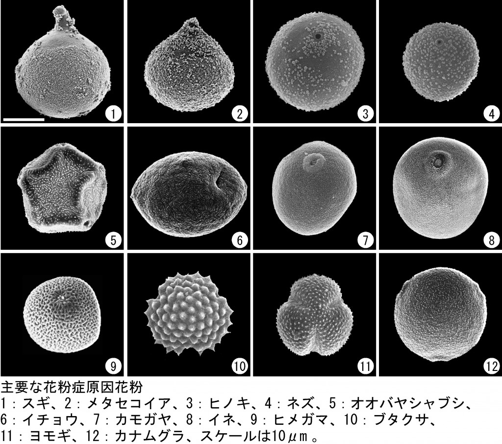 古環境解析研究室 藤木 利之 Blog 岡山理科大学 基礎理学科blog