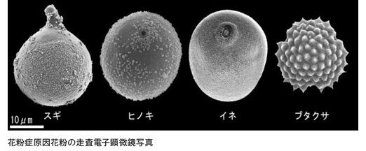 藤木利之研究室 岡山理科大学 基礎理学科blog