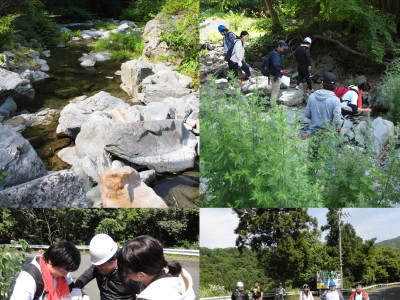 徳島県高越山で岩石の観察・採取（6月）