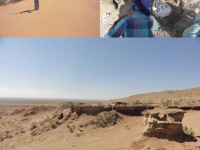 総合理学専攻の加藤さんが東ゴビ砂漠地域の野外調査に参加（8月）