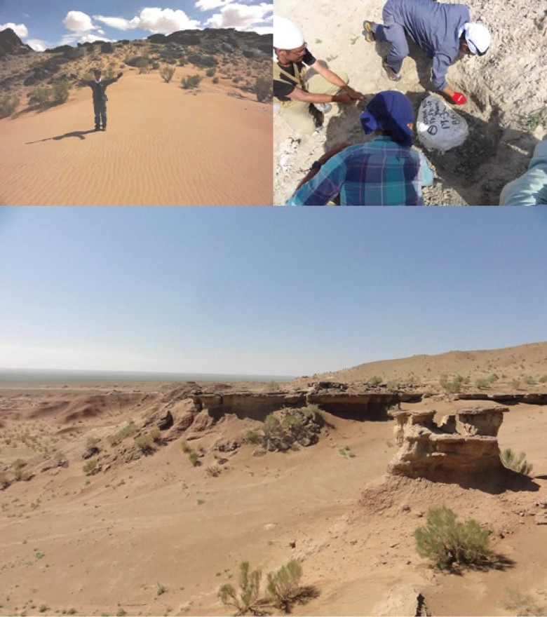 総合理学専攻の加藤さんが東ゴビ砂漠地域の野外調査に参加（8月）