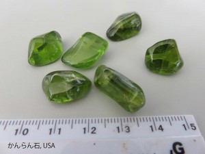 IMG_0783Olivine