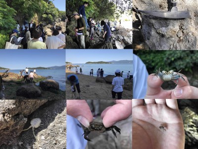 海だ！野外実践指導実習Ⅰ前島編（6月）