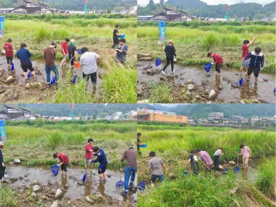 旭川かいぼり調査に参加