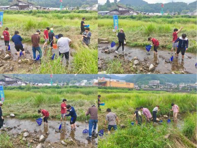 旭川かいぼり調査に参加