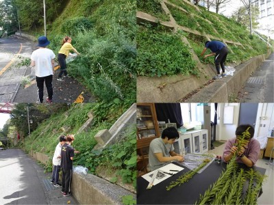 野外実践指導実習1～植物編～