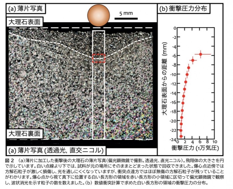 新原研究室の研究内容についてのプレスリリース公開