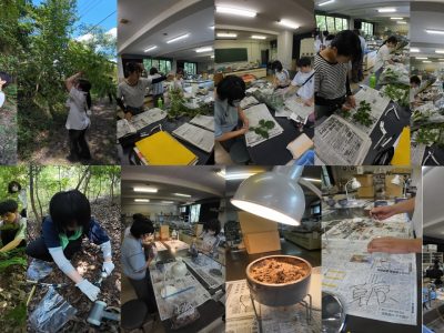 野外実践指導実習Ⅱの植物・土壌生物・海洋プランクトン編を実施しました。