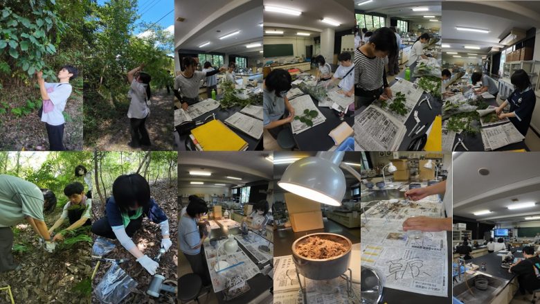 野外実践指導実習Ⅱの植物・土壌生物・海洋プランクトン編を実施しました。